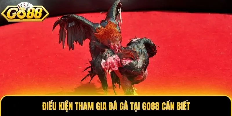 Đá Gà 2 Điều kiện tham gia đá gà tại Go88 cần biết